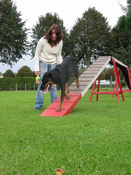 beaucerons en vacance